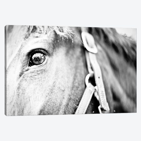 Horseback Riding Canvas Print #SBT60} by Susan Bryant Canvas Art
