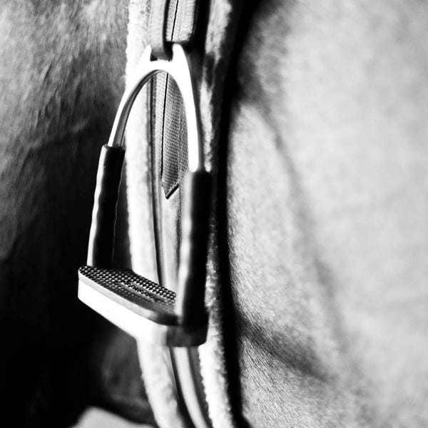 Black & White Animal Art: In The Stable II by Susan Bryant