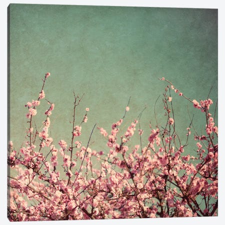 Springtime I Canvas Print #SBT75} by Susan Bryant Canvas Wall Art