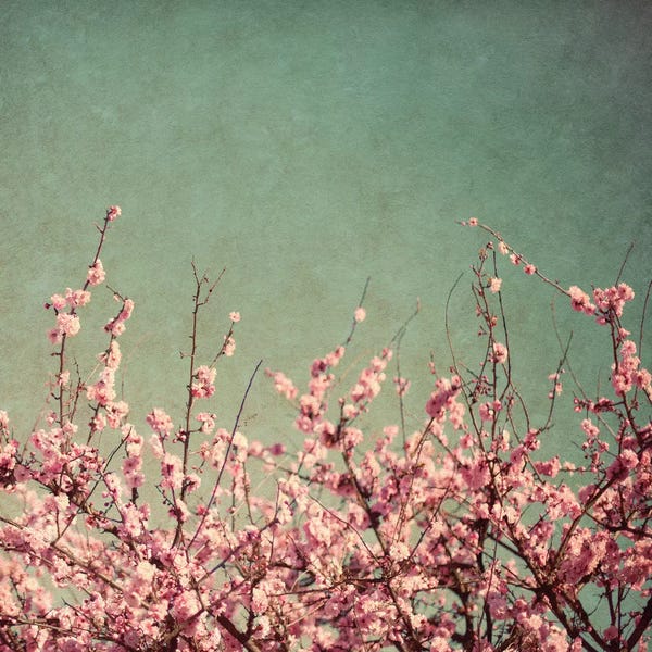 Susan Bryant: Springtime I by Susan Bryant