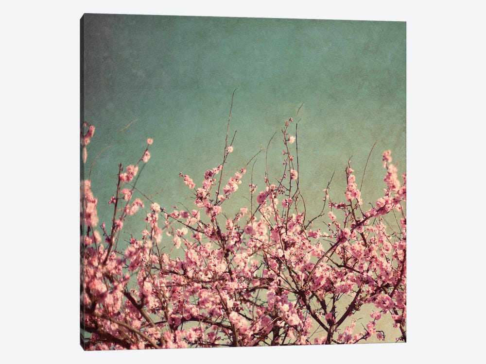 Springtime II by Susan Bryant 1-piece Canvas Art Print