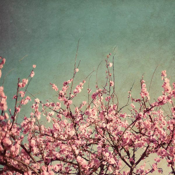 Susan Bryant: Springtime II by Susan Bryant