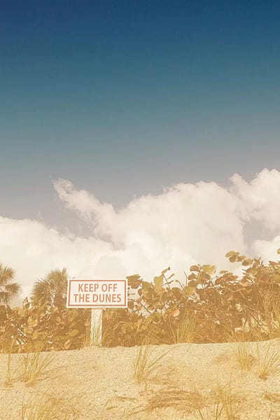 Susan Bryant: The Dunes by Susan Bryant