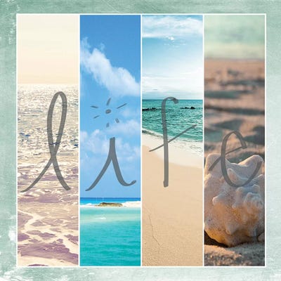 Sea Life by Susan Bryant framed canvas print