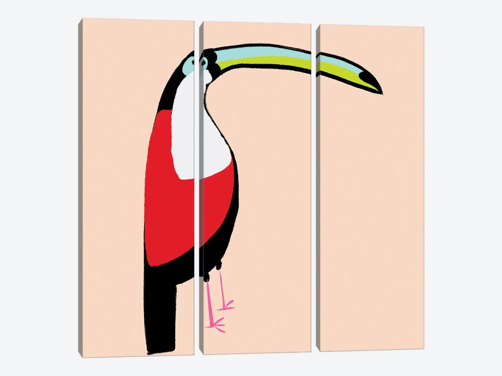 Abstract Toucan by Susan Bryant 3-piece Canvas Art