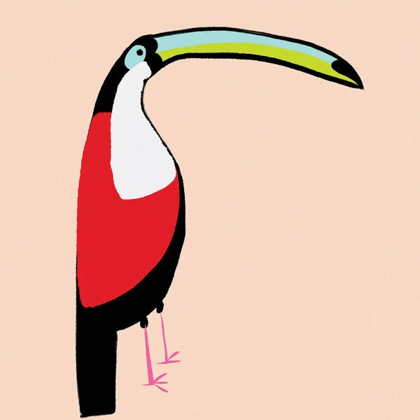 Susan Bryant: Abstract Toucan by Susan Bryant