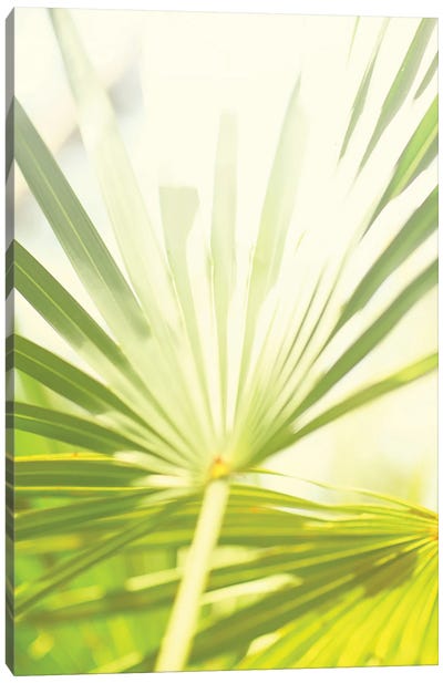 Among Palms I Canvas Art Print