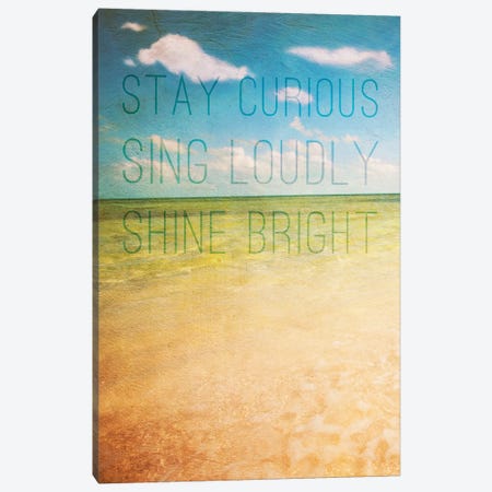 Stay Curious Canvas Print #SBT93} by Susan Bryant Art Print