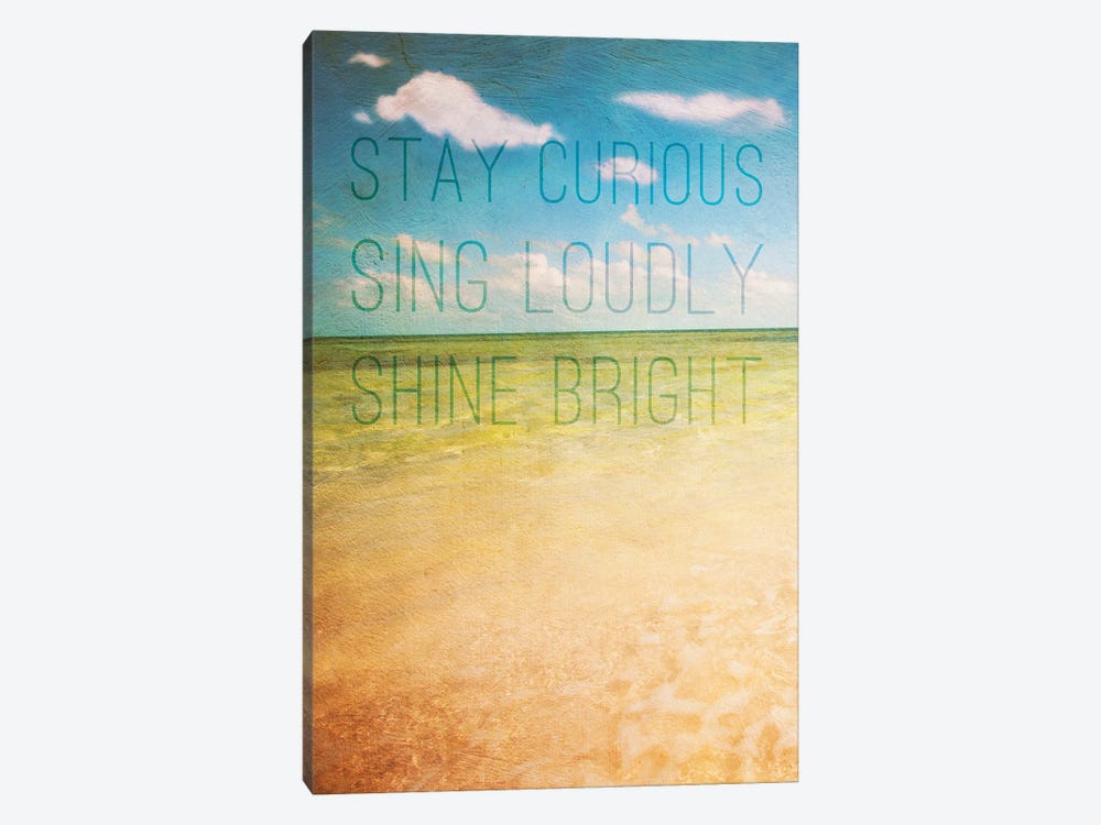 Stay Curious by Susan Bryant 1-piece Canvas Art