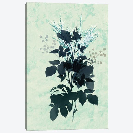 Dry Blue Flowers Canvas Print #SBU29} by Sabrina Balbuena Canvas Print