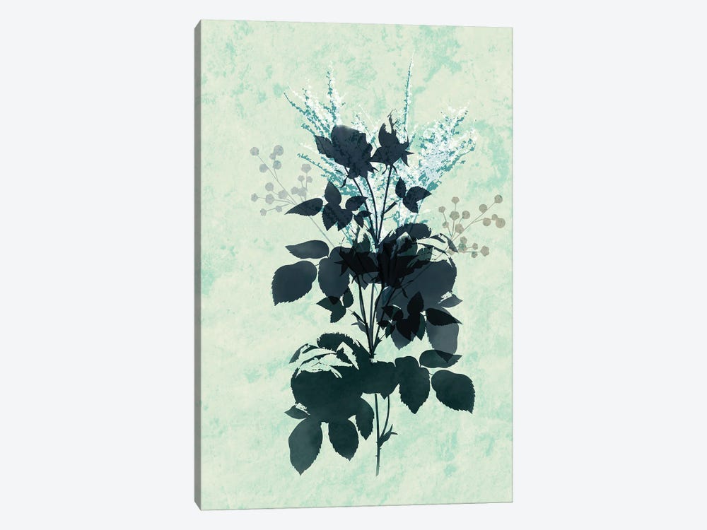 Dry Blue Flowers by Sabrina Balbuena 1-piece Canvas Art