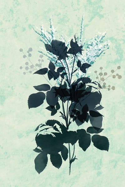 Sabrina Balbuena: Dry Blue Flowers by Sabrina Balbuena