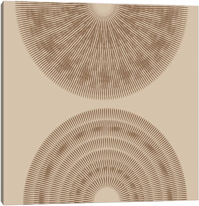Beige And Brown 2 Big Abstract Textured Woven Circles Canvas Art Print
