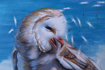 Owl by Anna Shabalova framed wall art