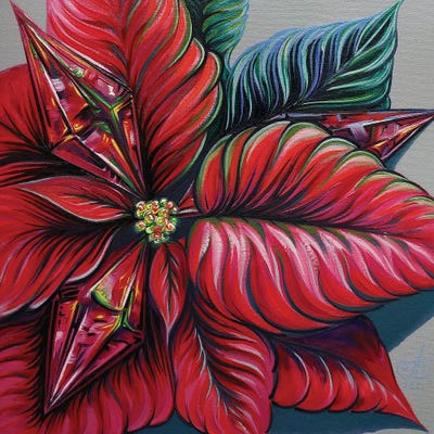 Poinsettia. Christmas Star by Anna Shabalova art print