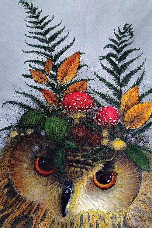 Forest Owl by Anna Shabalova wall art