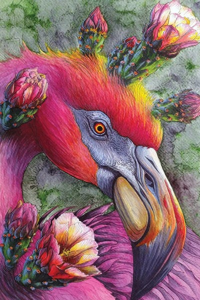 Flamingo