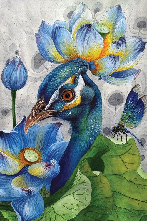 Harmony by Anna Shabalova wall art