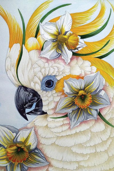 The Art Of The Feather: Bird Of Paradise by Anna Shabalova