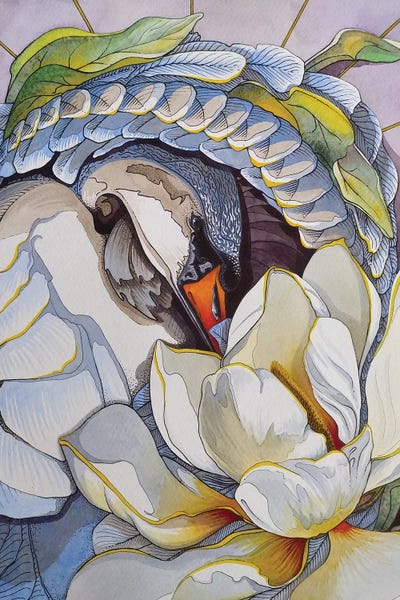 Dance Of The Blue Swan