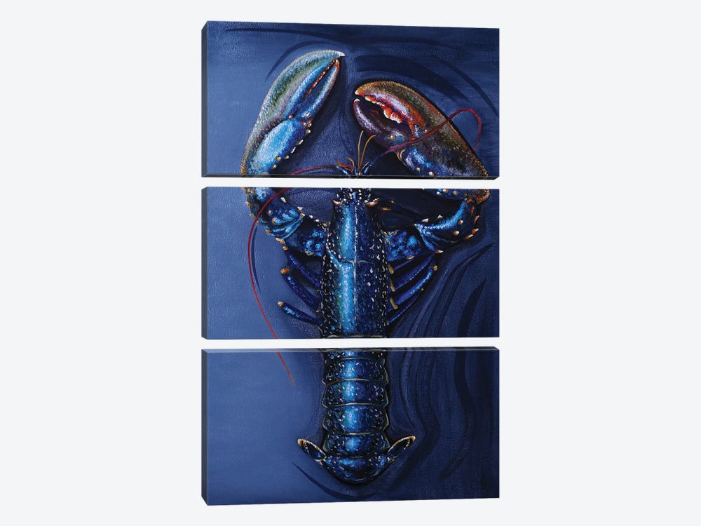 Royal Lobster by Anna Shabalova 3-piece Canvas Artwork