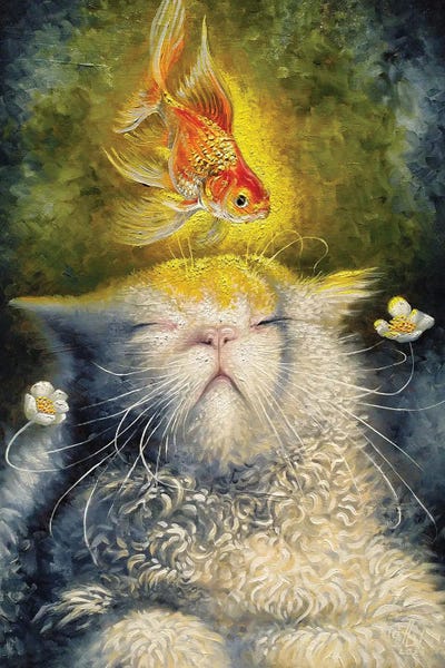 Dreamer