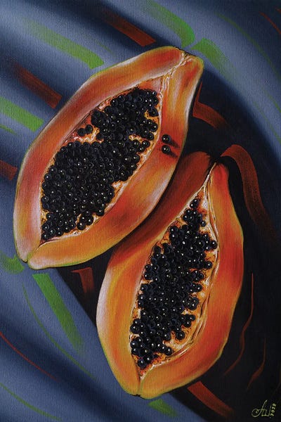 Papaya by Anna Shabalova framed wall art