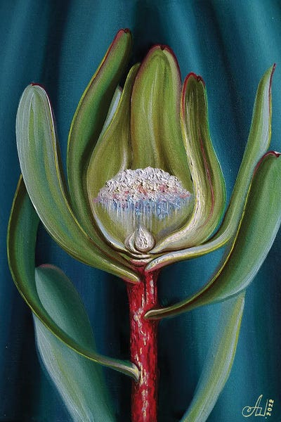 Rain: Where The Little Rain Clouds Are Hiding by Anna Shabalova