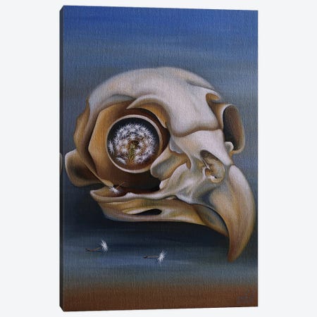 Owl (Skull) Canvas Print #SBV29} by Anna Shabalova Canvas Artwork