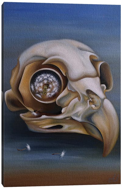 Owl (Skull) Canvas Art Print - Funky Fine Art