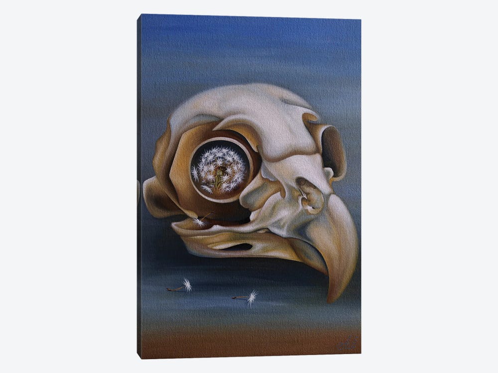 Owl (Skull) by Anna Shabalova 1-piece Canvas Art
