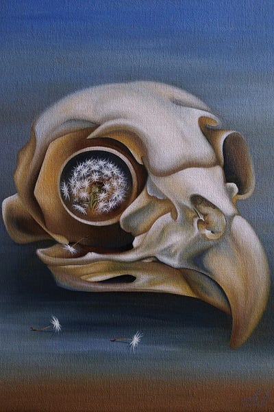 Funky Fine Art: Owl (Skull) by Anna Shabalova