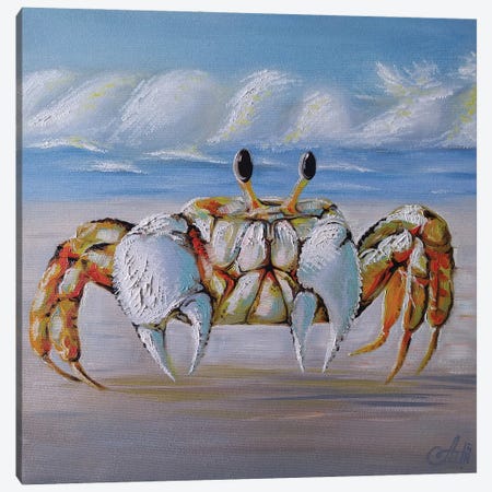 Sun Crab Canvas Print #SBV31} by Anna Shabalova Art Print