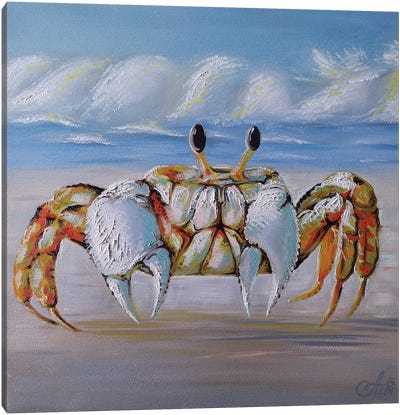 Sun Crab Canvas Art Print - Crab Art