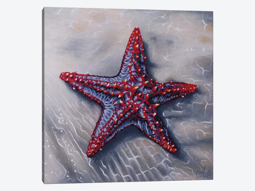 Starfish by Anna Shabalova 1-piece Canvas Artwork