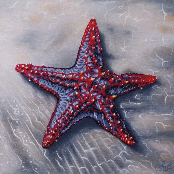 Starfish: Starfish by Anna Shabalova