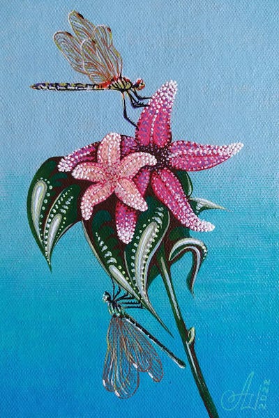 Anna Shabalova: Starfish Flowers by Anna Shabalova
