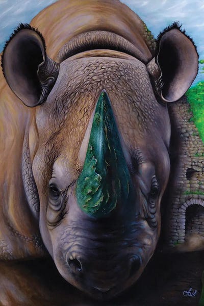 Shadow Of The White Rhino by Anna Shabalova framed canvas print