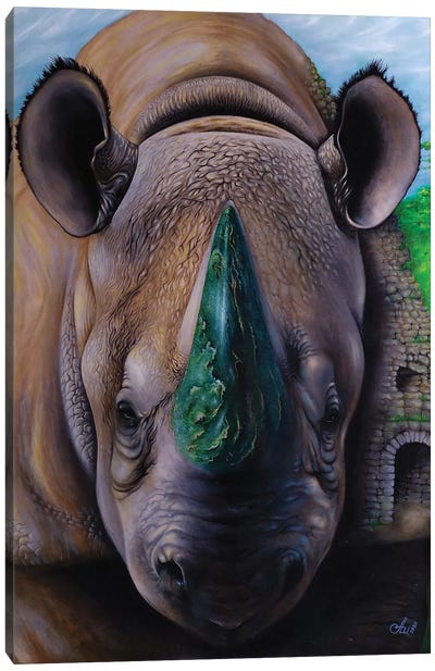 Shadow Of The White Rhino Canvas Art Print - Animal Rights Art