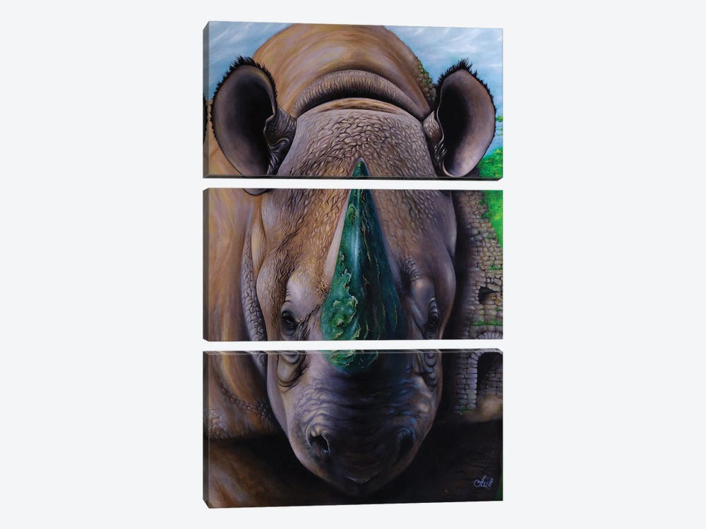 Shadow Of The White Rhino by Anna Shabalova 3-piece Canvas Artwork