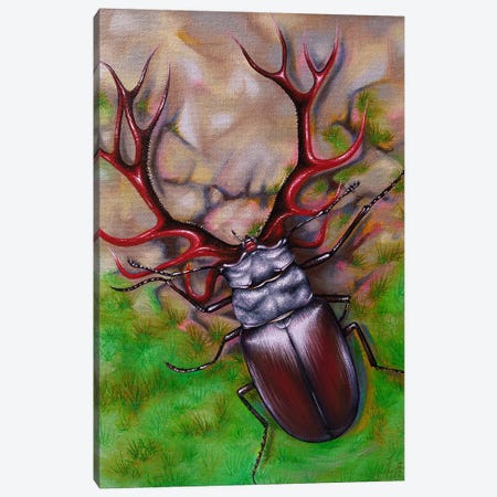 Deer Beetle Canvas Print #SBV51} by Anna Shabalova Art Print