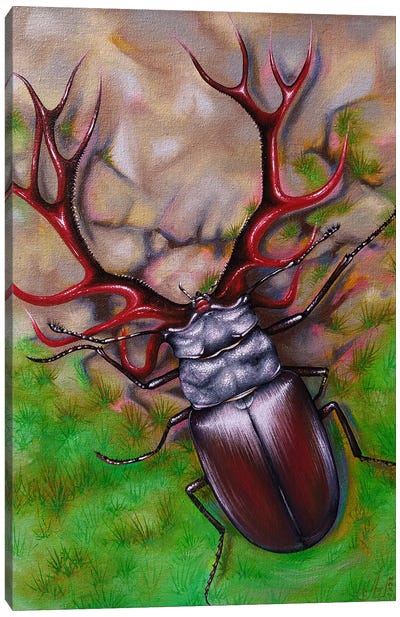 Deer Beetle Canvas Art Print - Beetle Art