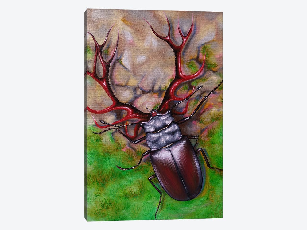 Deer Beetle by Anna Shabalova 1-piece Canvas Art Print