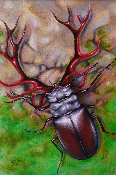 Beetles: Deer Beetle by Anna Shabalova