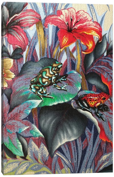 Poisonous Beauty Canvas Art Print - Frog Art