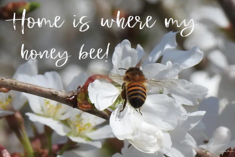 Home Is Where My Honey Bee!