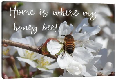 Home Is Where My Honey Bee! Canvas Art Print - Susie Boyer