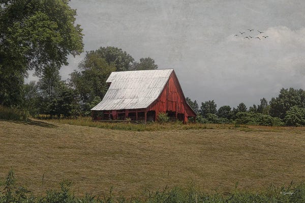 Susie Boyer: Echoes Of The Past by Susie Boyer