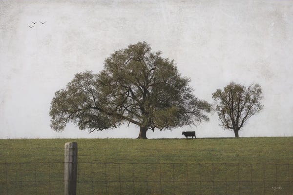 Fine Art Print: Lonely One by Susie Boyer