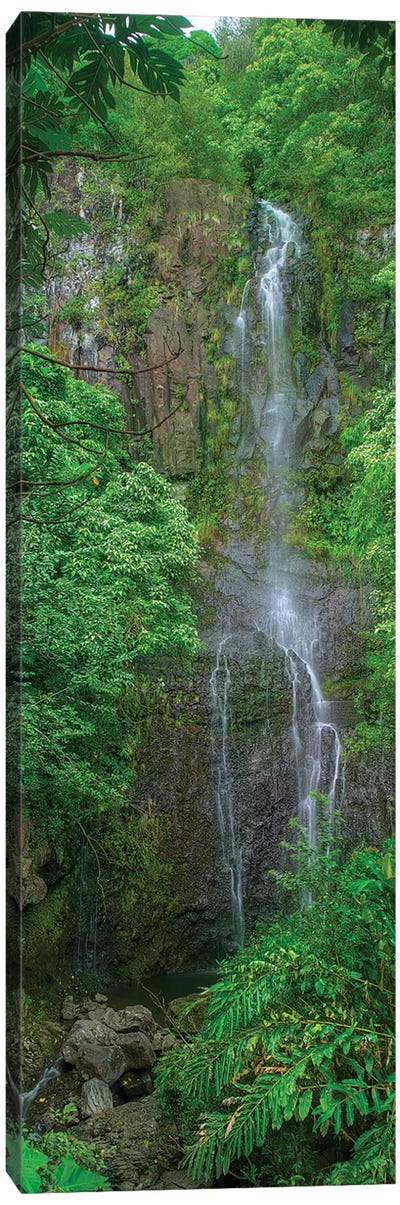 Maui Waterfall Canvas Art Print - Panoramic Photography